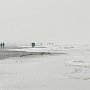 paare am meer
